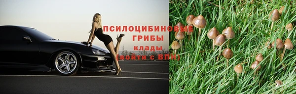 тгк Алзамай