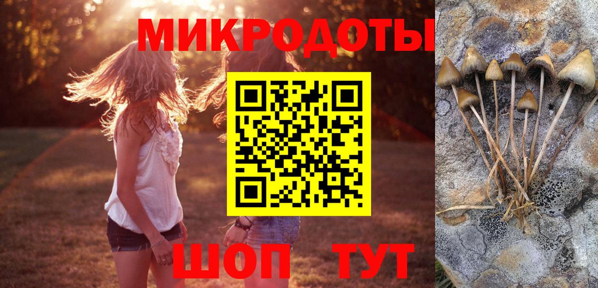 Псилоцибиновые грибы Magic Shrooms Ипатово