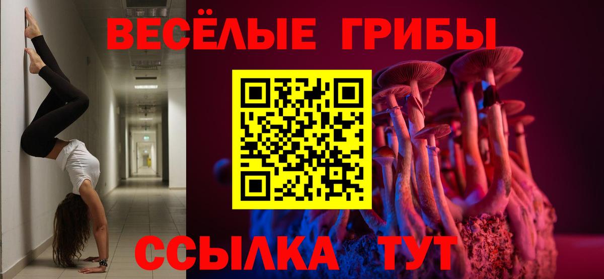 Псилоцибиновые грибы мицелий  Псилоцибиновые грибы мухоморы  Вход с VPN  Ипатово 